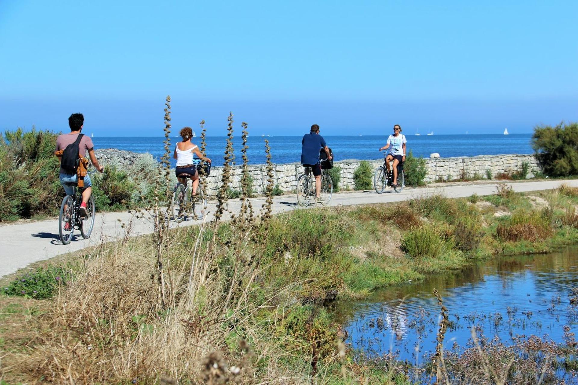 Camping La Pree Les Portes-en-Re Dış mekan fotoğraf
